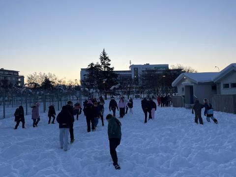 Rymingaraefing_h2025