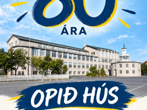 Melaskoli 80 ara 4