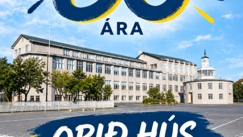 Melaskoli 80 ara 4